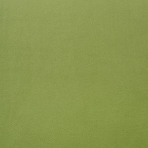26 SPRING GREEN