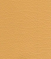 003 beige
