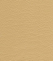 003 dark beige