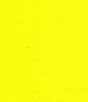 049 yellow