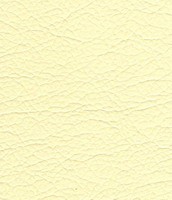 207 ivory