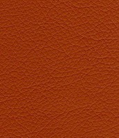 212 cocoa