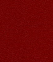 223 bordo