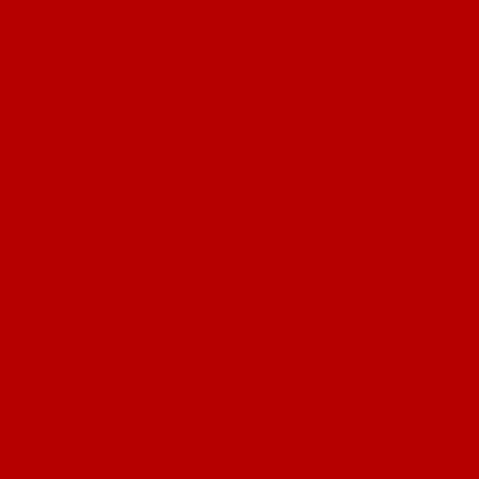 U3117 BS ПАПАВЕРУ