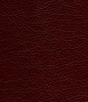 002 bright brown