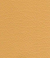 003 beige