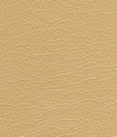 003 dark beige