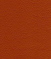 212 cocoa