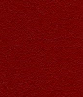 223 bordo