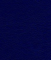 227 midnight blue