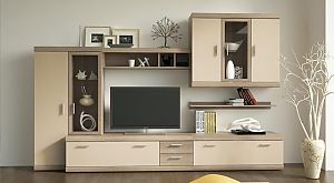  to buy furniture for the bedroom 